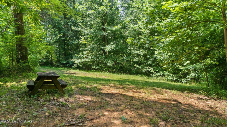 Listing Image 28