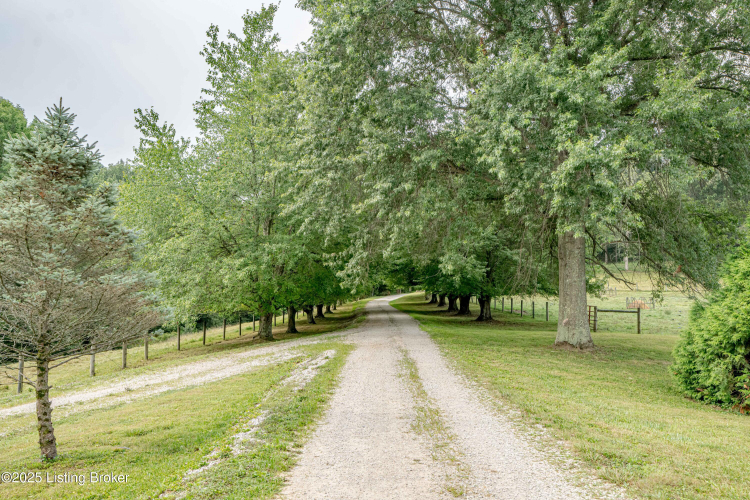Listing Image 63