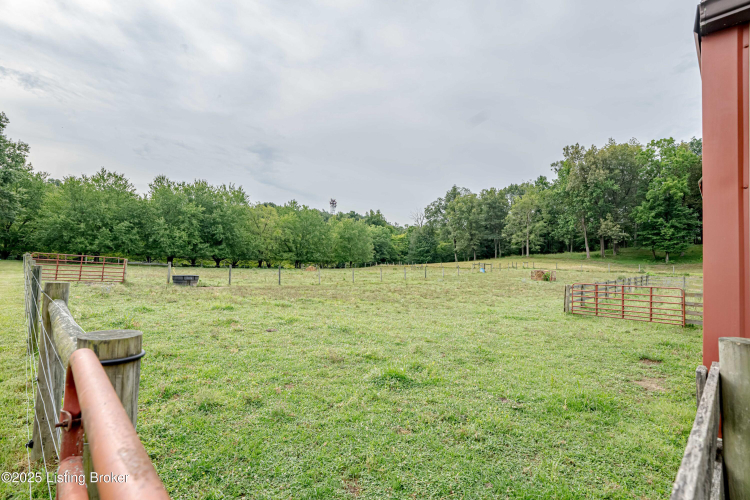 Listing Image 64