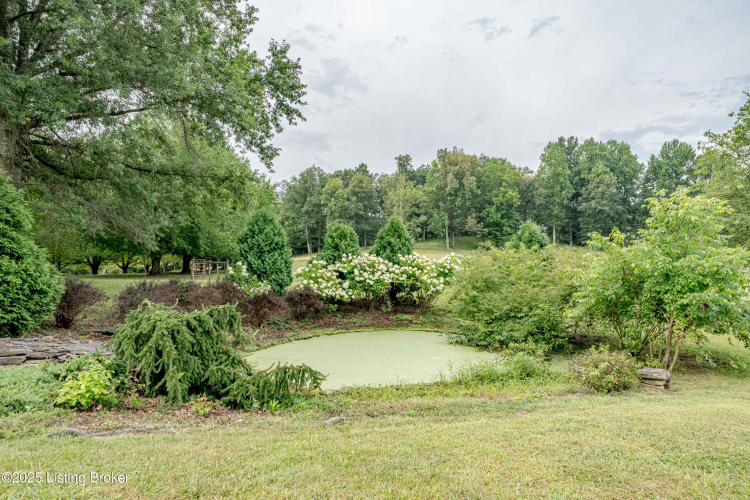 Listing Image 71