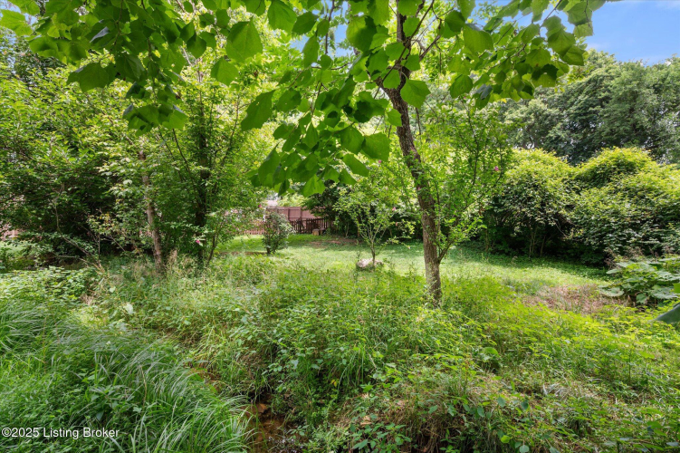 Listing Image 36