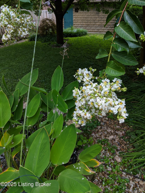 Listing Image 53