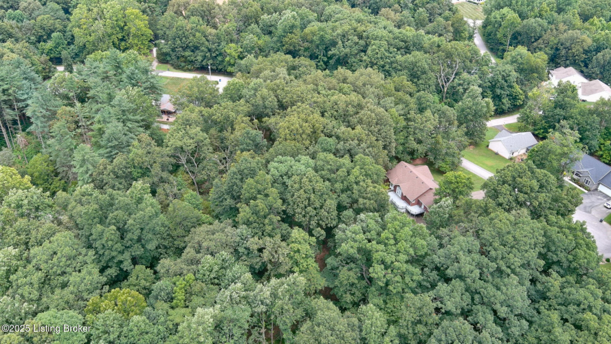 Listing Image 84