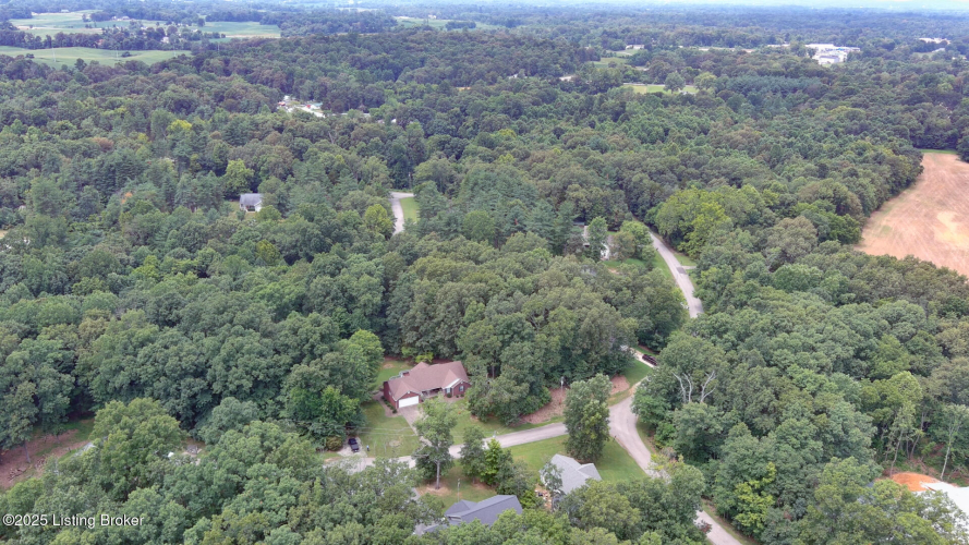 Listing Image 85