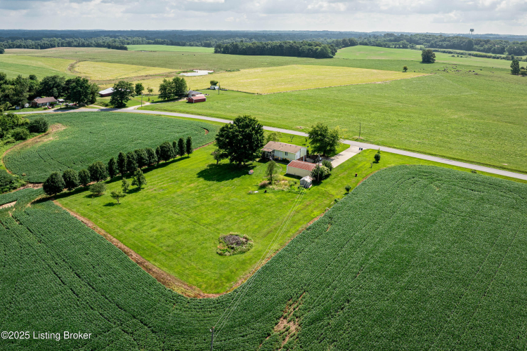 Listing Image 4