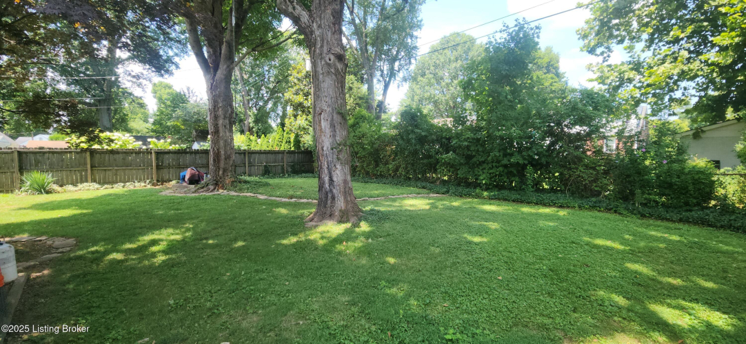 Listing Image 31