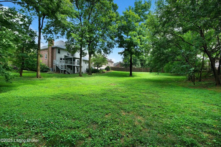 Listing Image 48