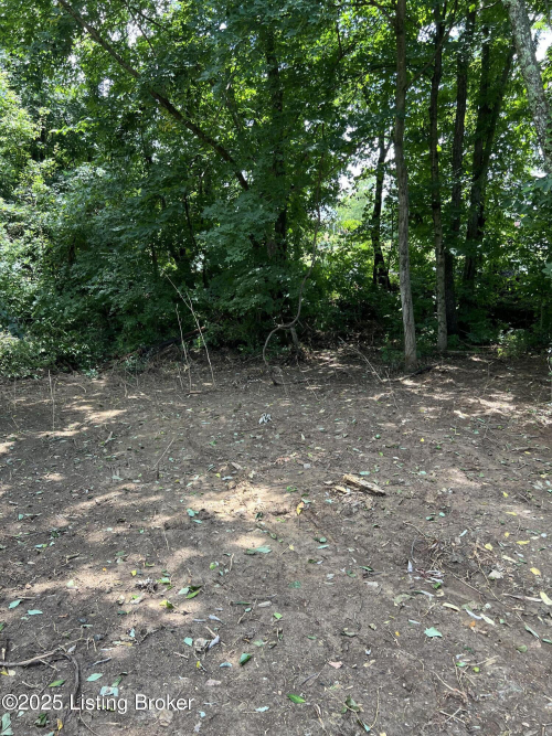Listing Image 25
