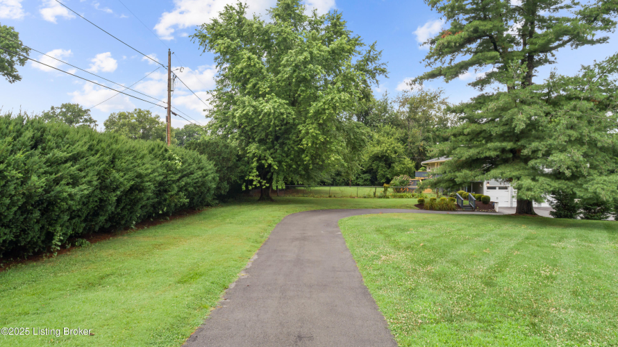 Listing Image 81