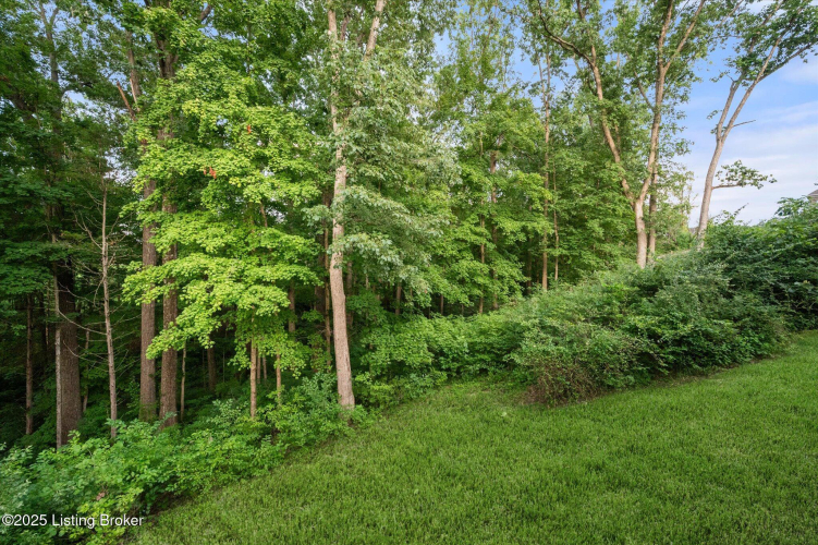 Listing Image 62