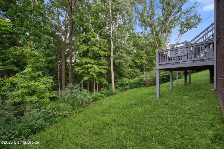 Listing Image 63