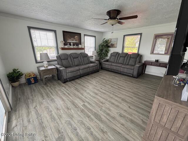 Listing Image 50