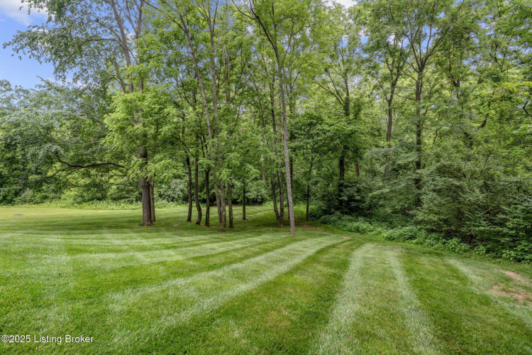 Listing Image 58