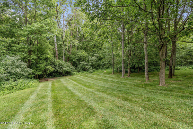 Listing Image 60