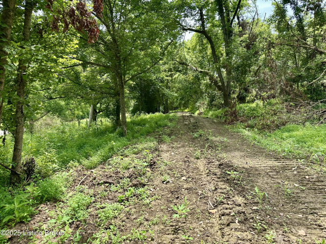 Listing Image 24