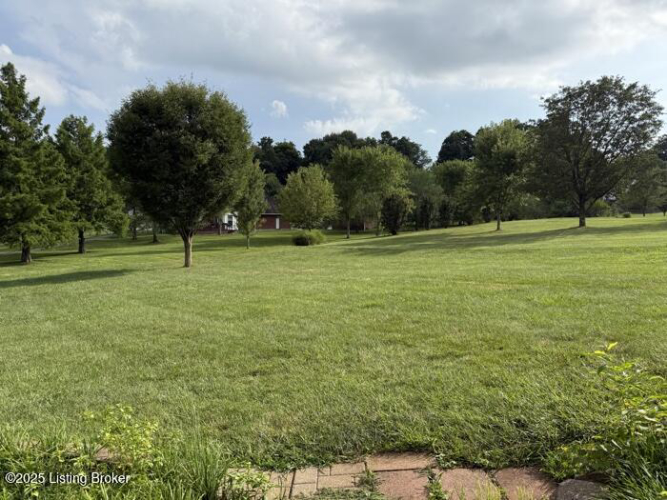 Listing Image 43
