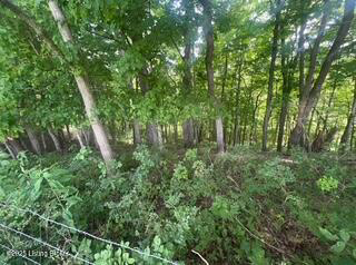 Listing Image 54