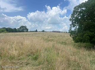 Listing Image 70