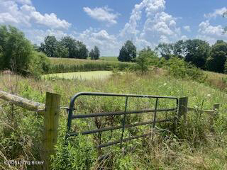 Listing Image 45