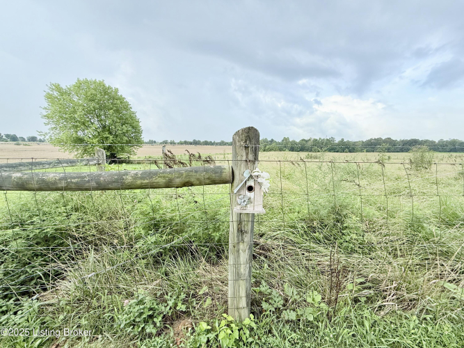 Listing Image 59