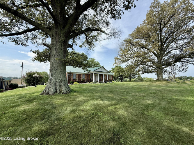 Listing Image 66