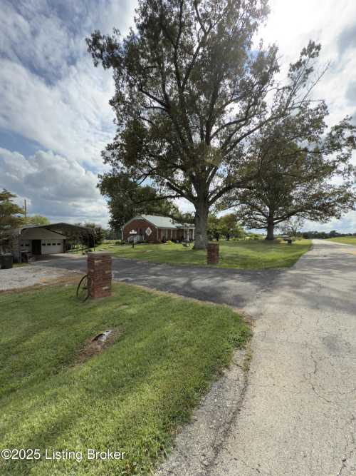 Listing Image 69