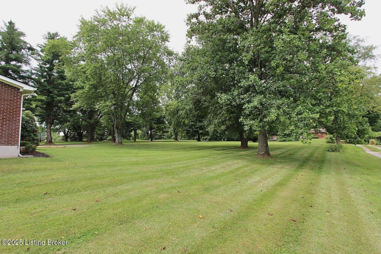 Listing Image 52