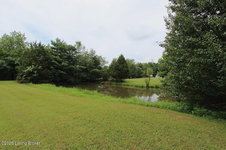 Listing Image 54