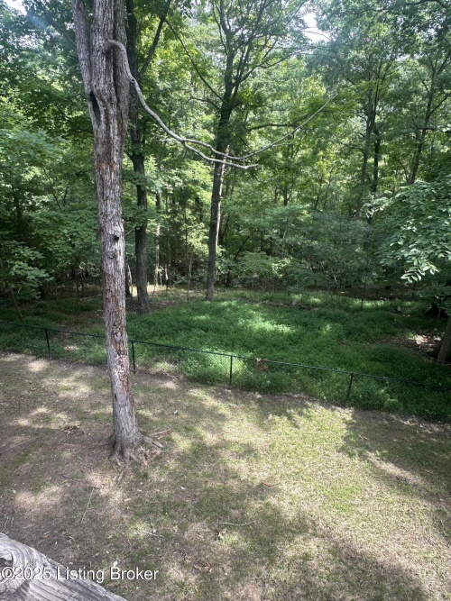 Listing Image 52