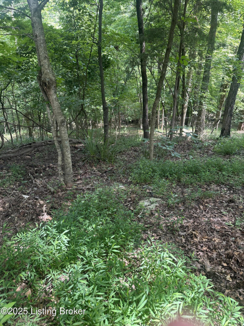 Listing Image 54