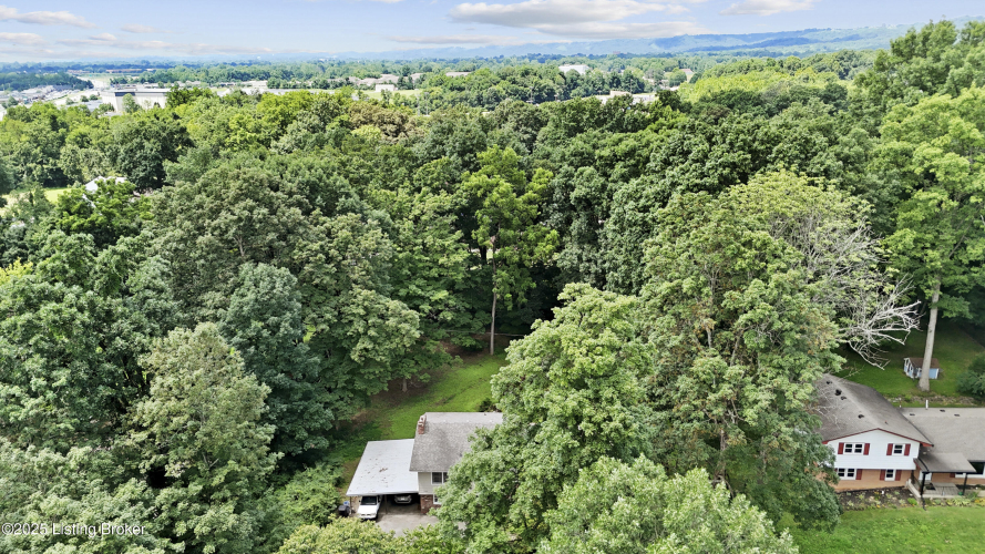 Listing Image 45