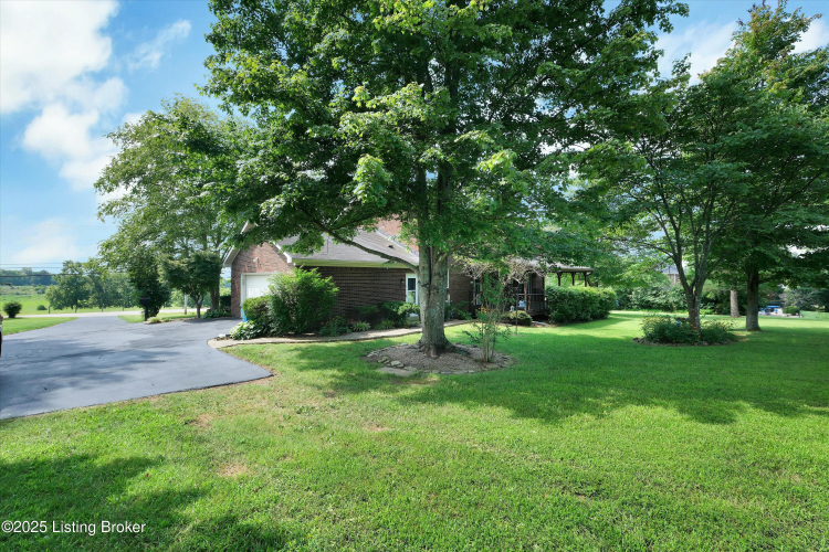 Listing Image 53