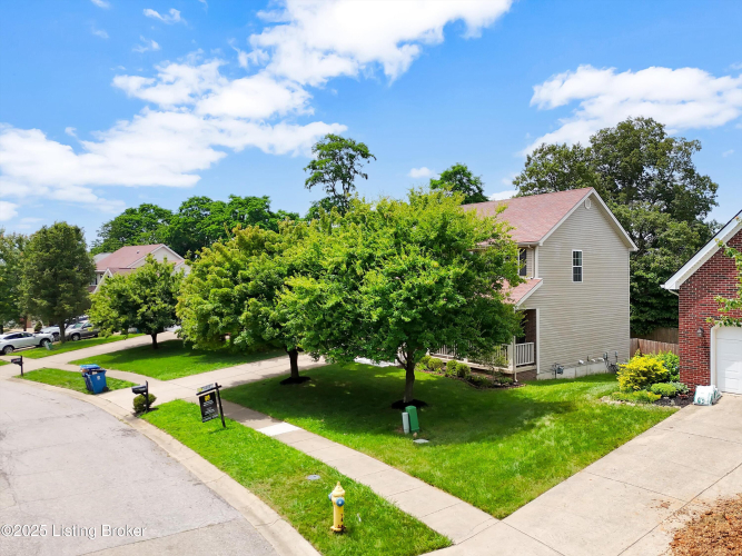 Listing Image 83