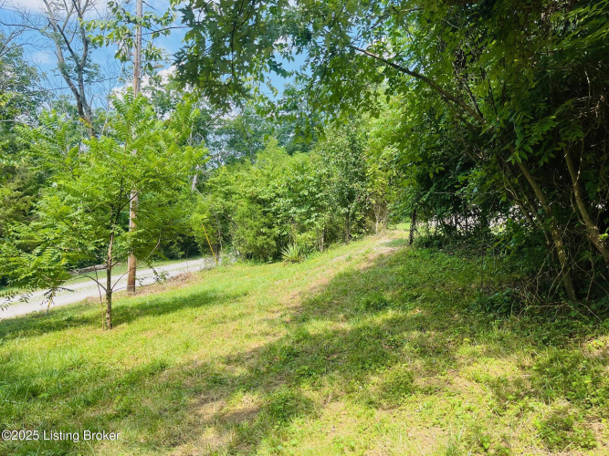 Listing Image 33