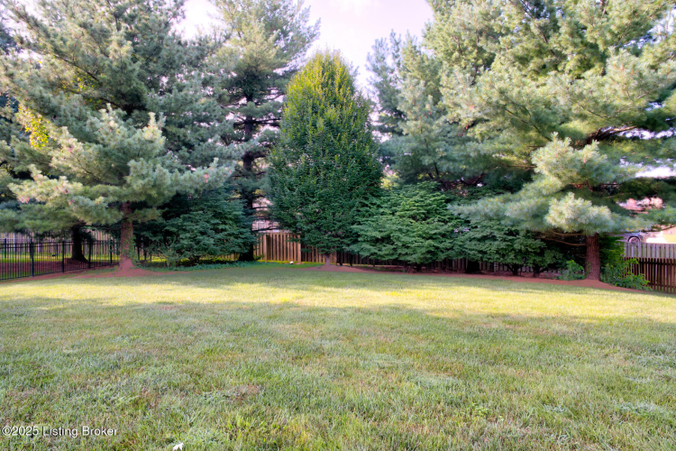 Listing Image 50