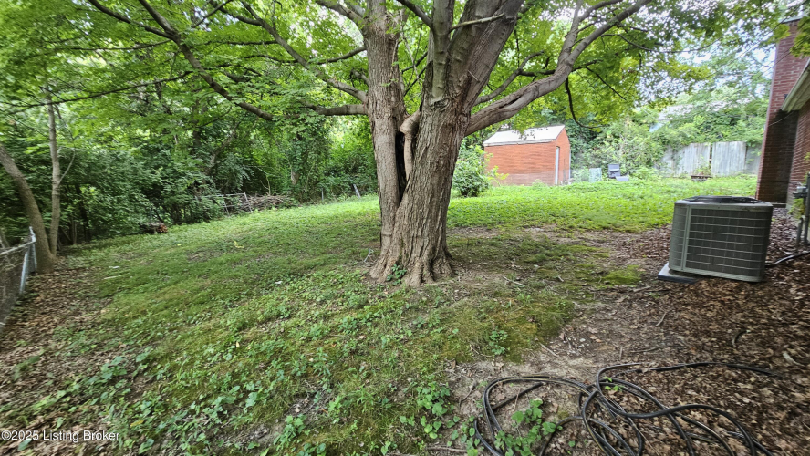 Listing Image 62