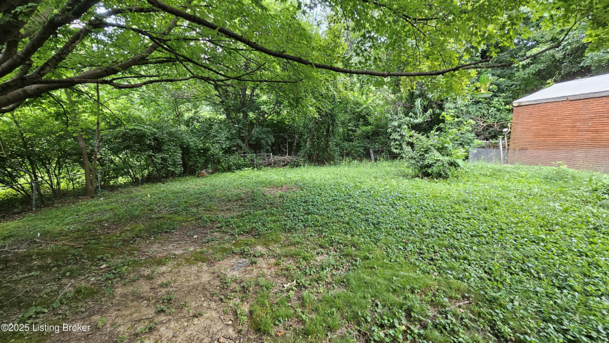 Listing Image 63