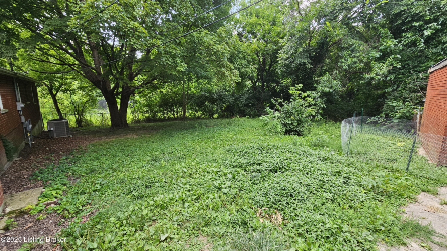 Listing Image 64