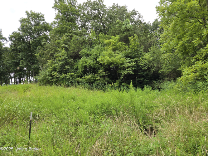 Listing Image 17