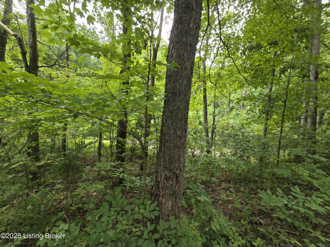 Listing Image 21