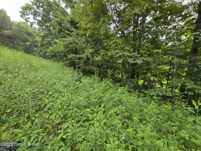 Listing Image 23