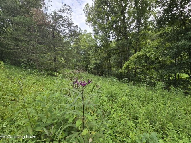 Listing Image 24