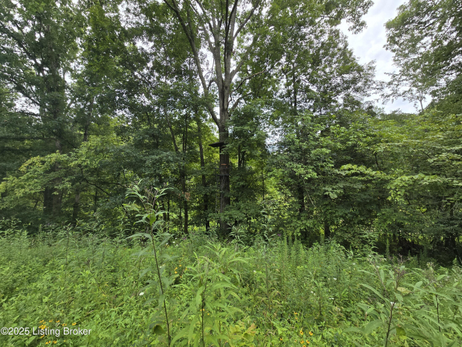 Listing Image 25