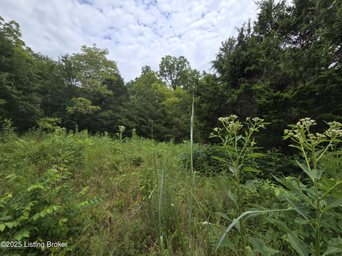 Listing Image 27