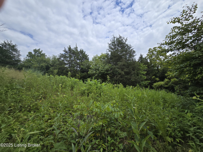 Listing Image 28