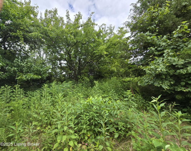 Listing Image 29