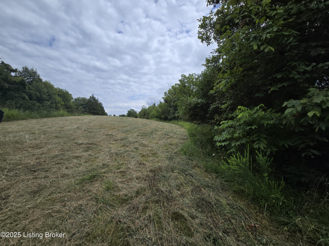 Listing Image 32