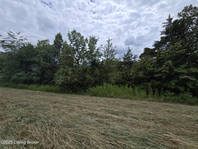 Listing Image 33