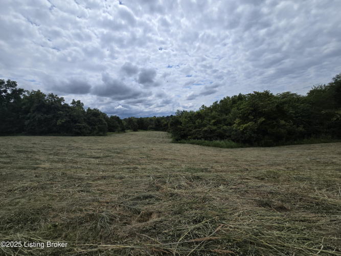 Listing Image 35