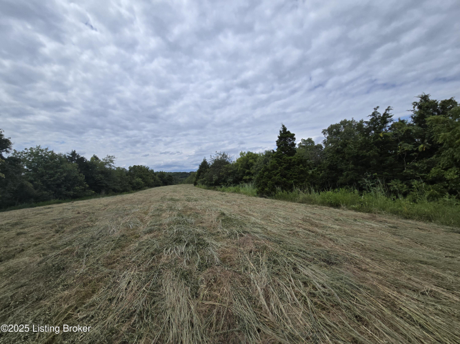 Listing Image 37